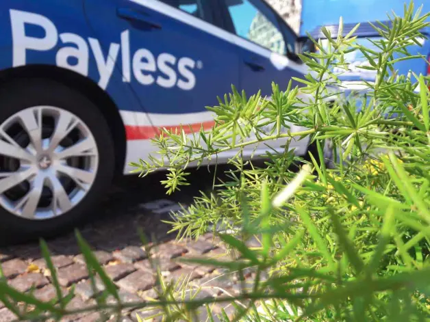 Чому Payless зекономить ваші кошти?