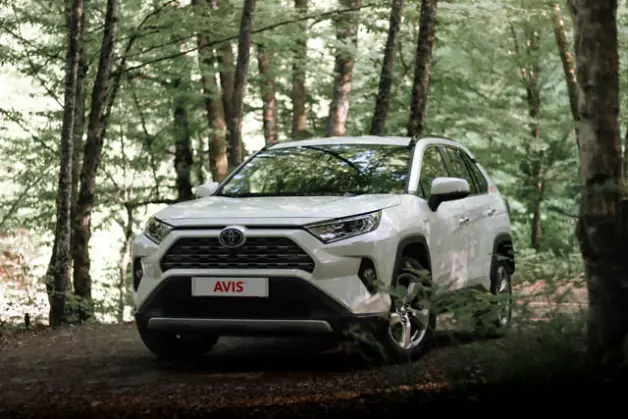 Which Hybrid to Choose: Tips for Choosing the Perfect Car